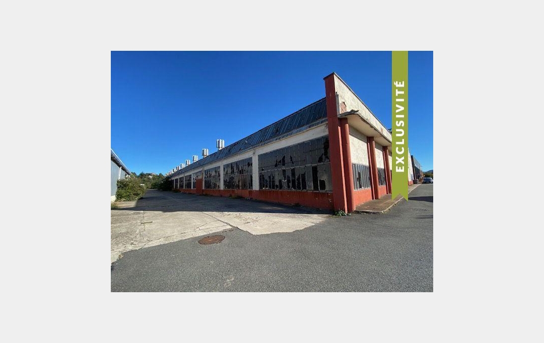 Annonces VIENNE : Local / Bureau | GIVORS (69700) | 1 200 m2 | 996 500 € 